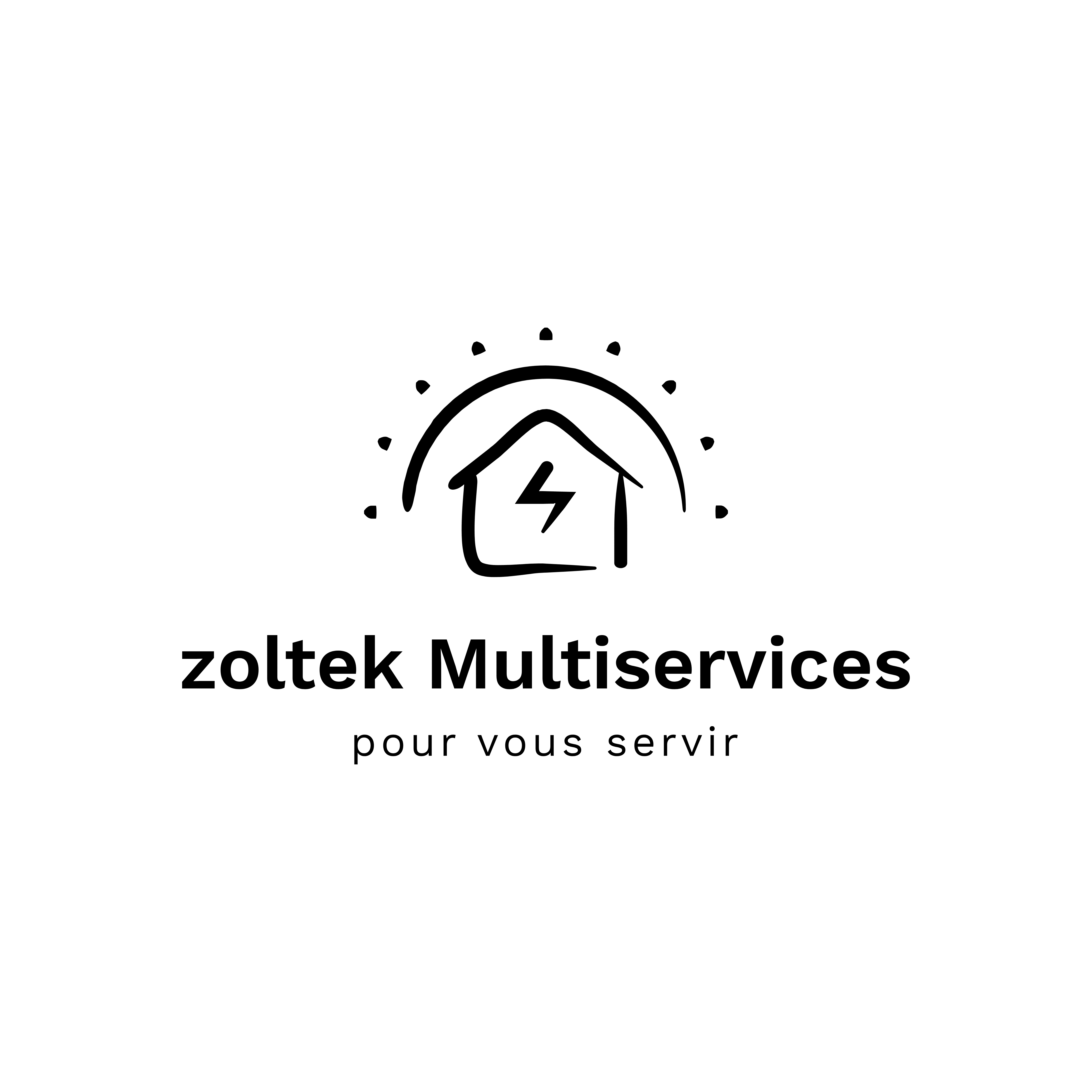 Logo Zoltek multiservices Antibes